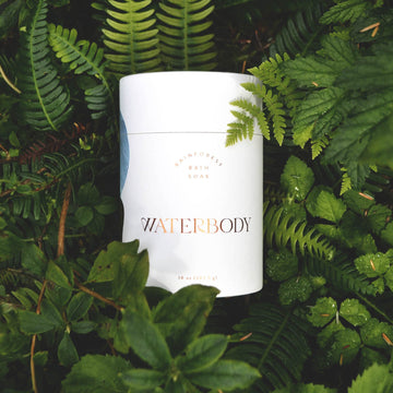 A tube of bath soak is white with gold text reading "Rainforest bath soak, waterbody". It lays on the forest floor, surrounded by ferns and greenery